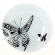 黑白蝴蝶強化玻璃盤-中